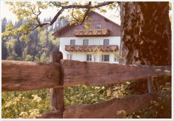 Ferienwohnung Haus Einhirn Алтаусзее Екстериор снимка