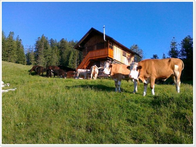Ferienwohnung Haus Einhirn Алтаусзее Екстериор снимка